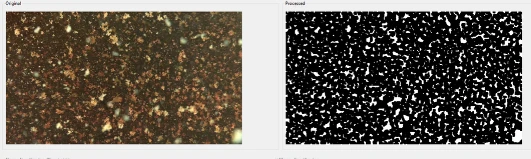 GUI crop with the original underwater floc frame beside the processed binary mask