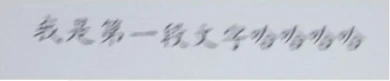 Blurred Chinese text sample from the team slide